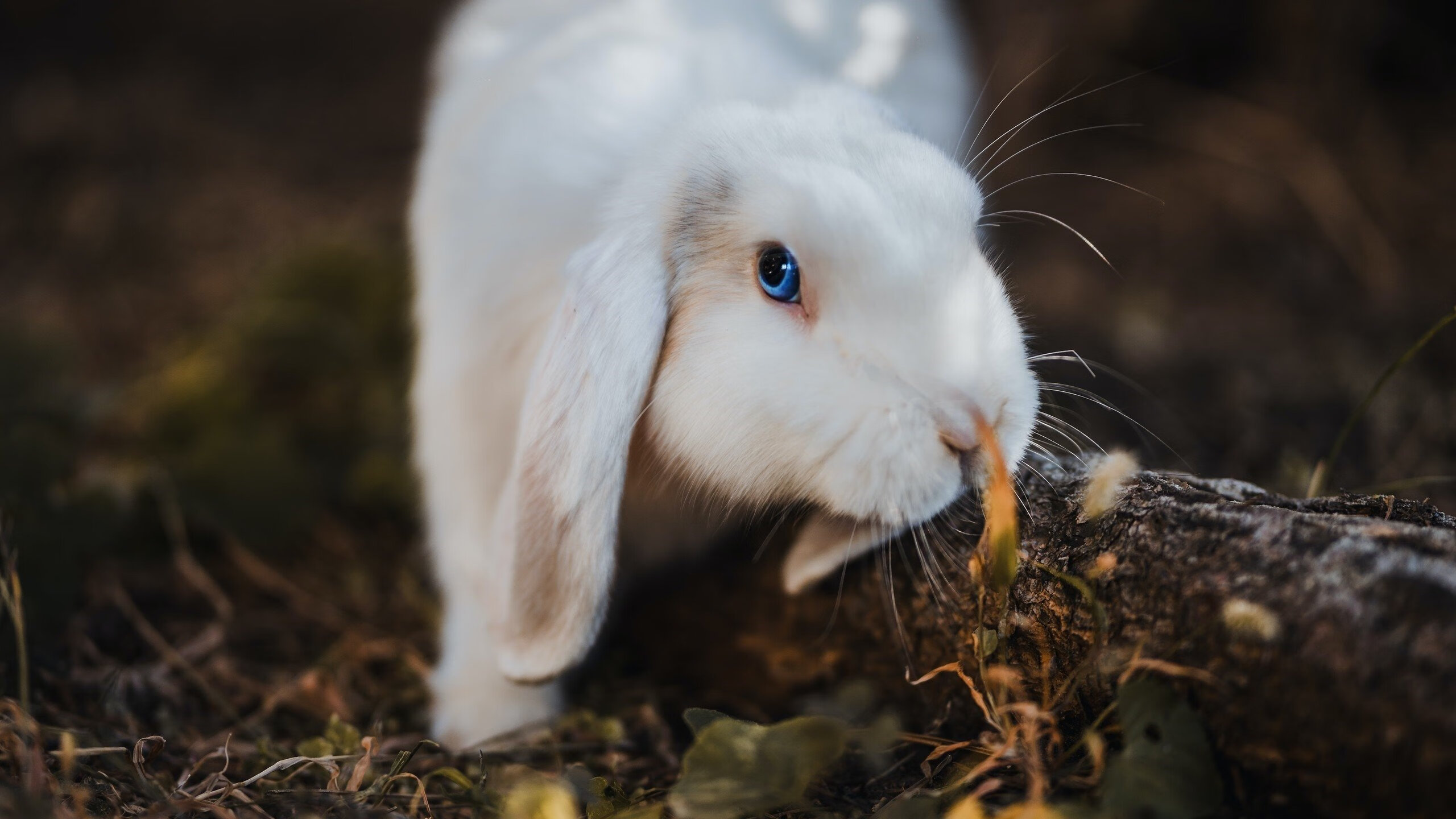JiuyouAPP下载-“中超联赛第十轮精彩回顾：豪门再次展现统治力”，中超第十轮对阵