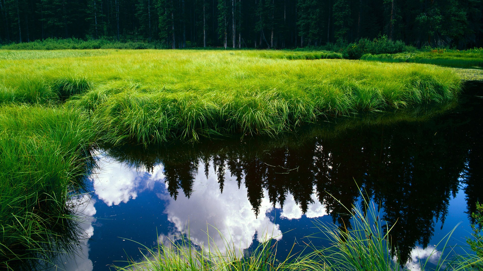 【搞笑】塞内加尔后卫滑倒后误打误撞完成助攻，塞内加尔怎么样