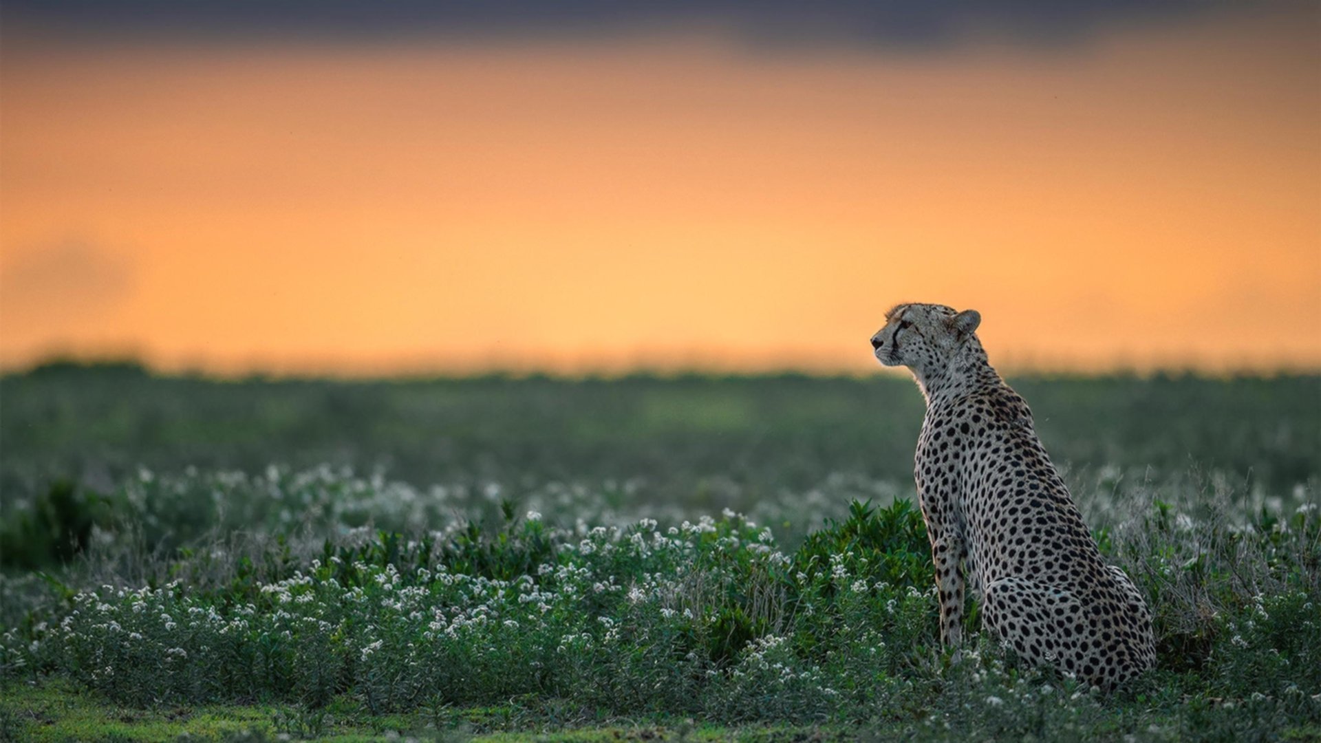 【青训故事】从丁俊晖到新一代青训营的成长轨迹，丁俊晖训练