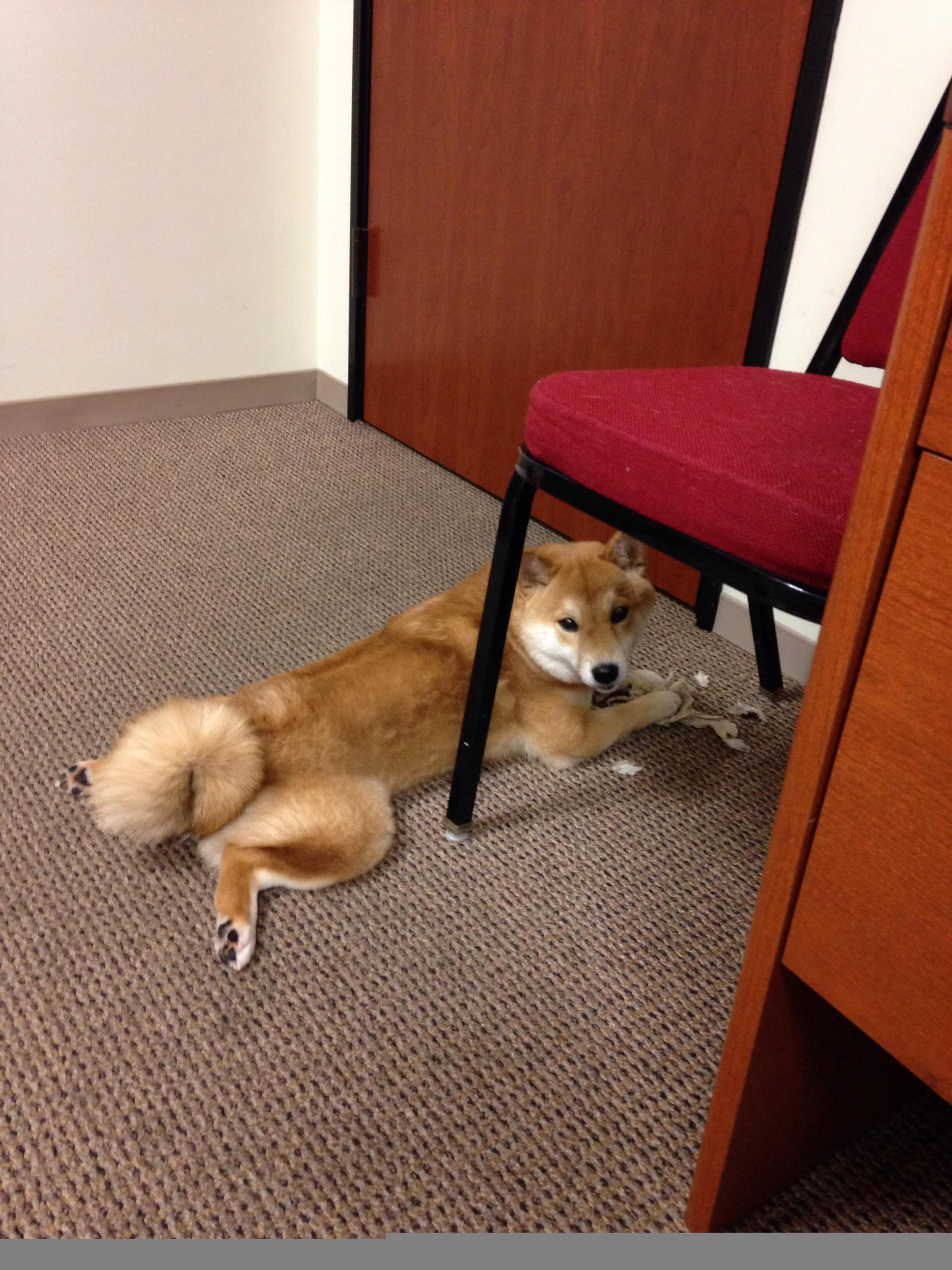 九游娱乐官方-从落后到逆转：冠军争夺激烈对战瞬间，从落后到反超激励